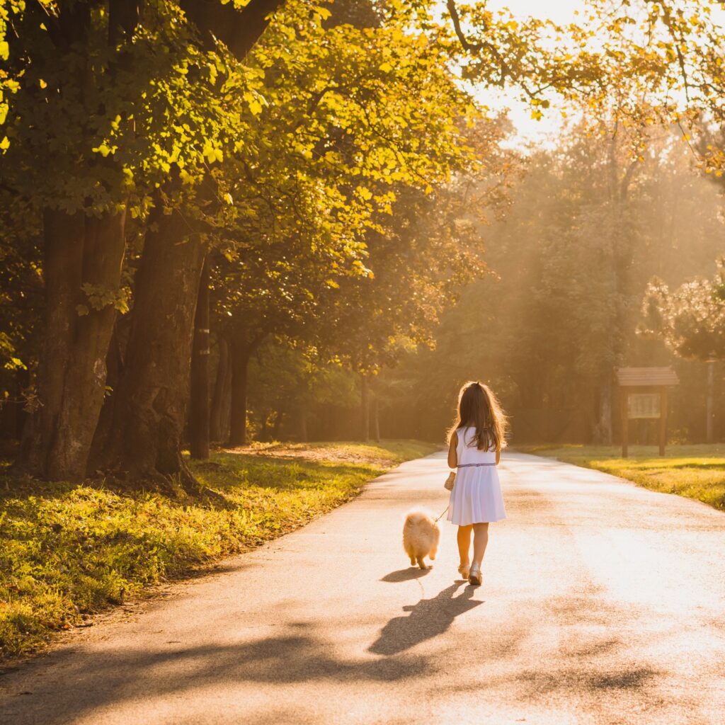 tips to connect as a family